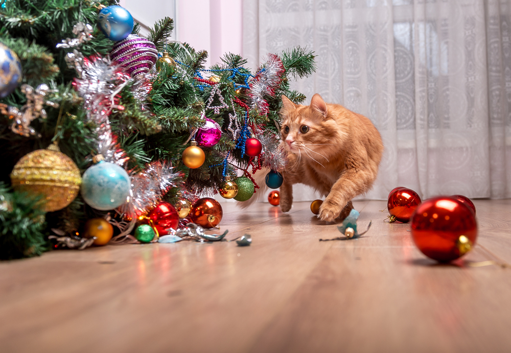 Cat playing near a decorated Christmas tree with toys — holiday pet safety tips