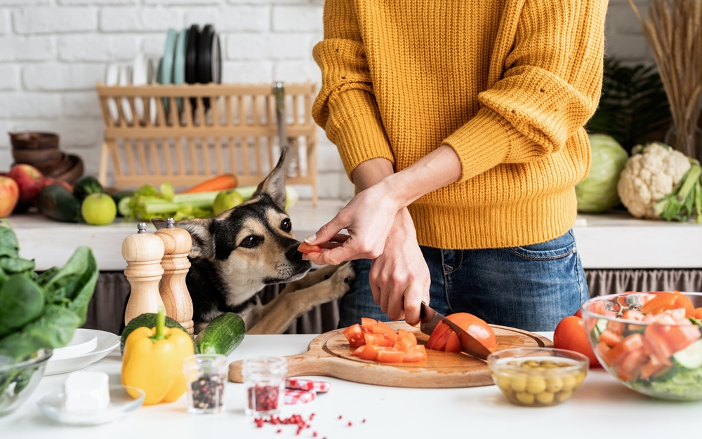 Female hands preparing a healthy salad, representing pet and owner nutrition guidance