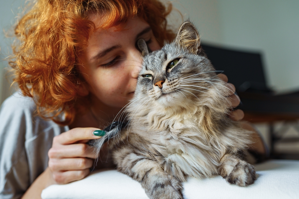 Teenage girl gently caring for a fluffy long-haired domestic cat — responsible pet ownership
